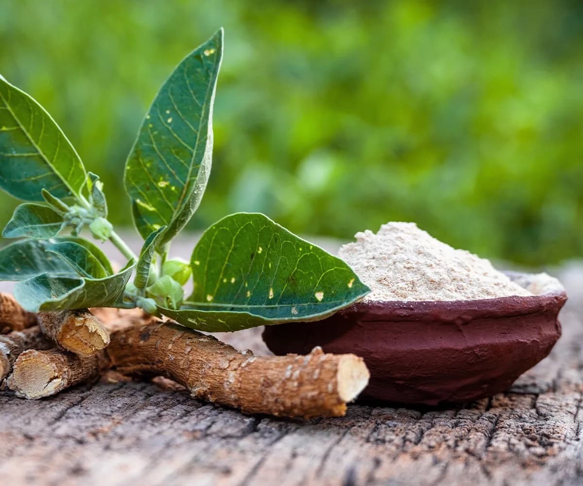 Ashwaganda
