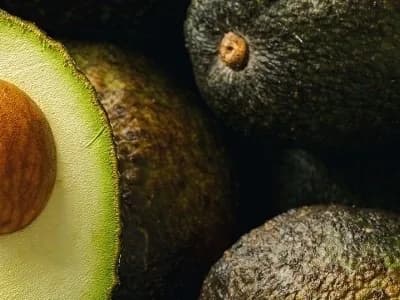 Avocado (Persea gratissima) Peptid