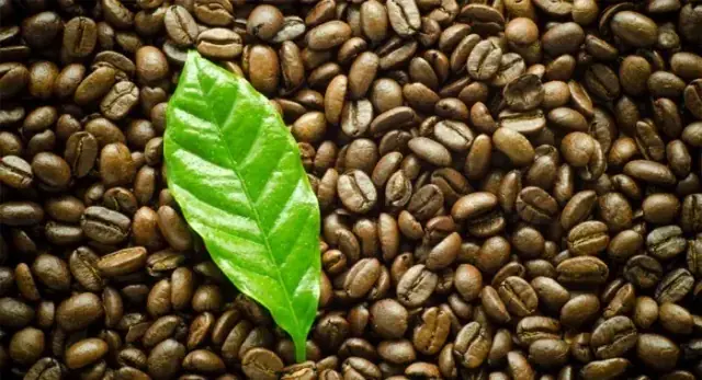 Coffein